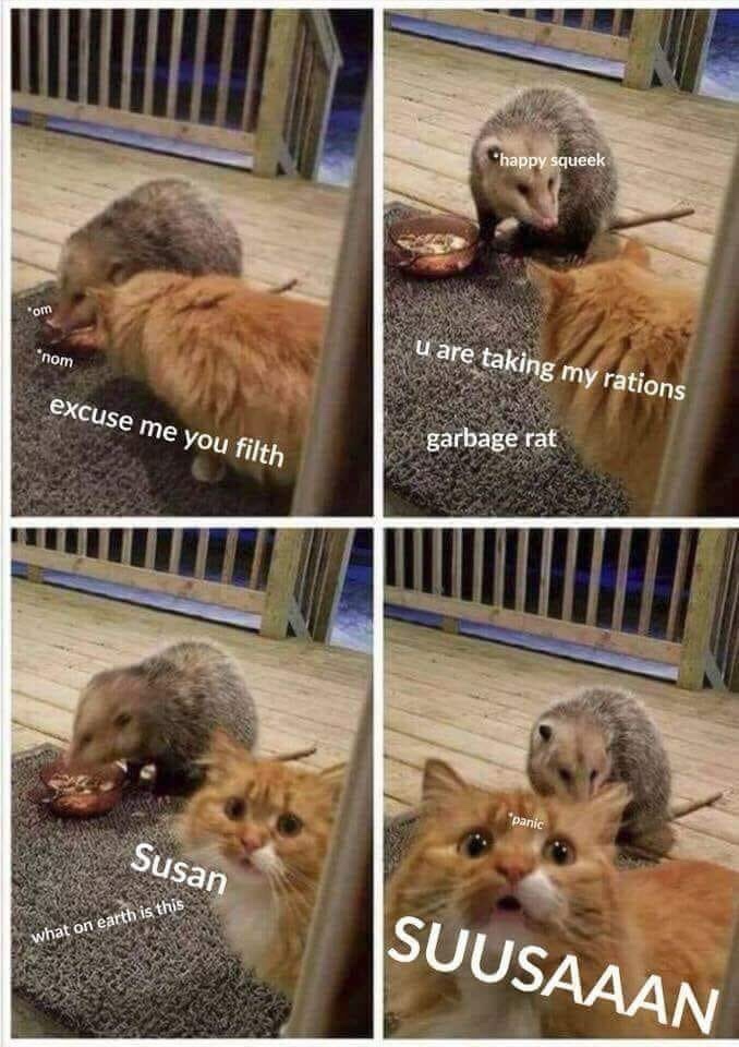 22 Memes That Will Make Your Last Two Brain Cells Giggle 9 Excuse me you filth