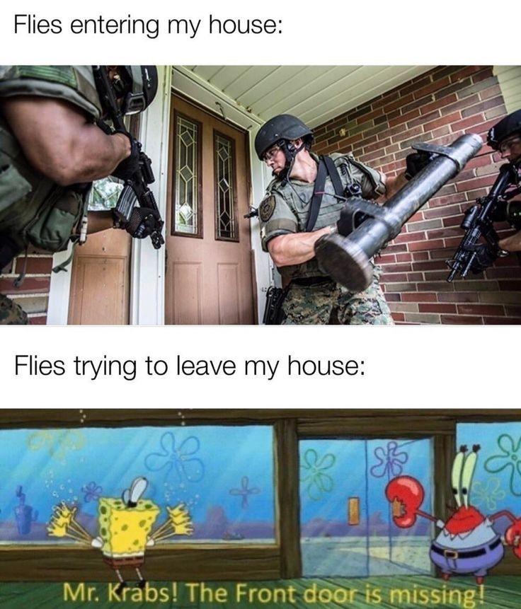 Memetastic Explosion: 25 Memes That Have Been Declared Weapons of Mass Hilarity! 3 Flies entring my house - Memetastic Explosion