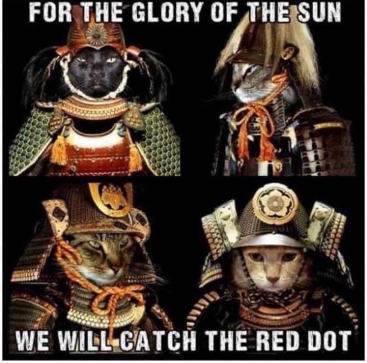 25 Funny Sunday Memes to Make Your Lazy Day Hilarious 6 For the glory of the sun - Funny Sunday Memes