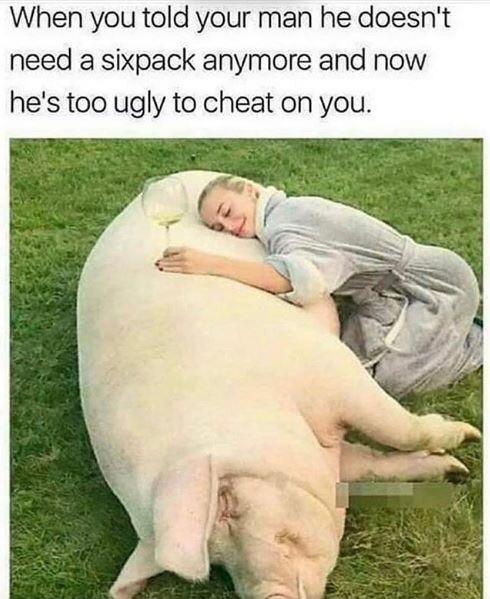 Zoological Zingers: 30 Animal Memes that are a Laughing Matter 11 He doesnt need six pack - Animal Memes