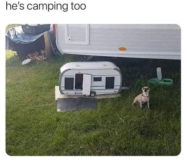 Fur-iously Funny: 25 Best Dog Memes to Cure Your Ruff Day 3 He is camping too - Best Dog Memes