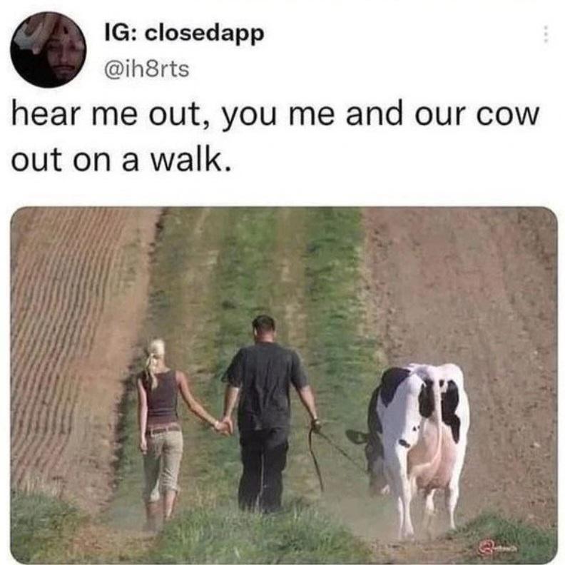 20 Funny Cow Memes That Will Moooove You to Laughter 6 Hear me out