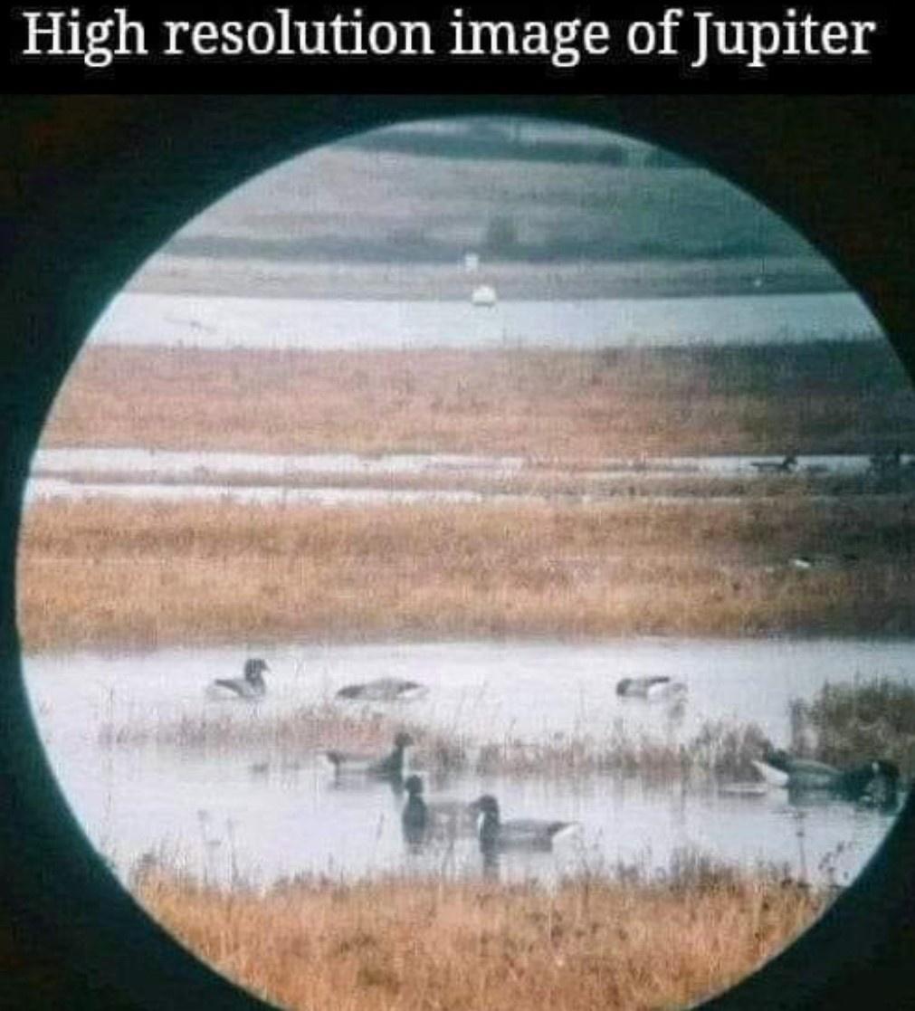 Zoological Zingers: 30 Animal Memes that are a Laughing Matter 12 High resoultion image of Jupiter - Animal Memes