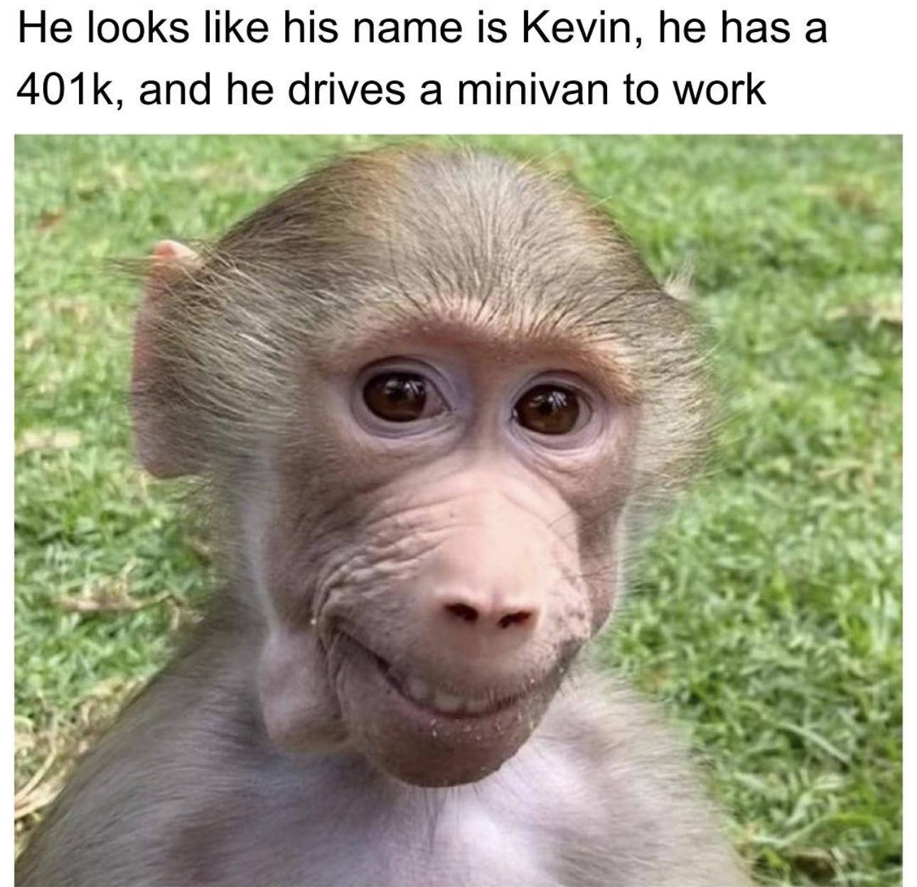 25 Funny Sunday Memes to Make Your Lazy Day Hilarious 8 His name is kevin - Funny Sunday Memes