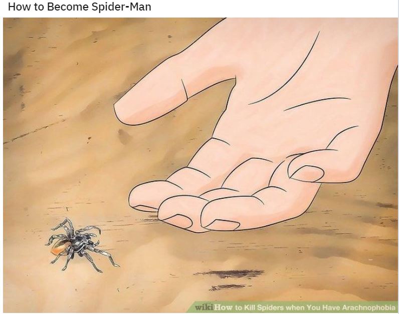 Wiki How Memes: 45 Times the Internet Turned Instructions into Comedy Gold 9 How to become spiderman - wiki how memes