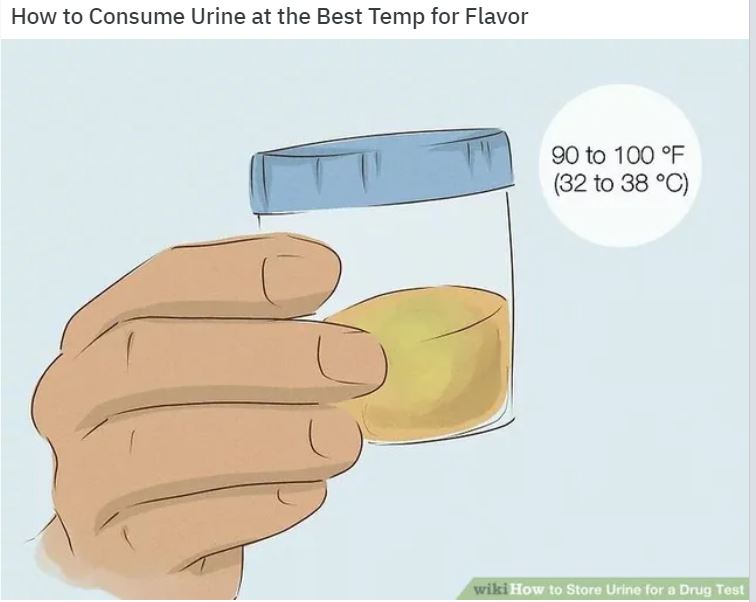 Wiki How Memes: 45 Times the Internet Turned Instructions into Comedy Gold 11 How to consume urine - wiki how memes
