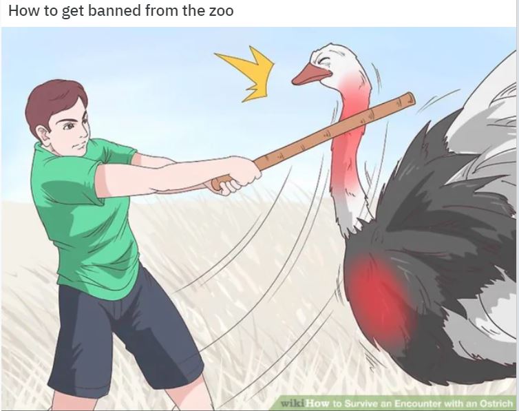 Wiki How Memes: 45 Times the Internet Turned Instructions into Comedy Gold 14 How to get banned from the zoo - wiki how memes
