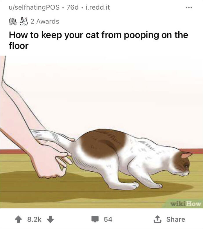 Wiki How Memes: 45 Times the Internet Turned Instructions into Comedy Gold 17 How to keep your cat - wiki how memes