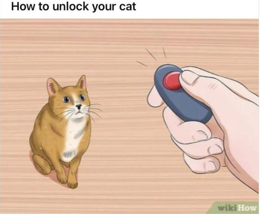 Wiki How Memes: 45 Times the Internet Turned Instructions into Comedy Gold 25 How to unlock your cat - wiki how memes