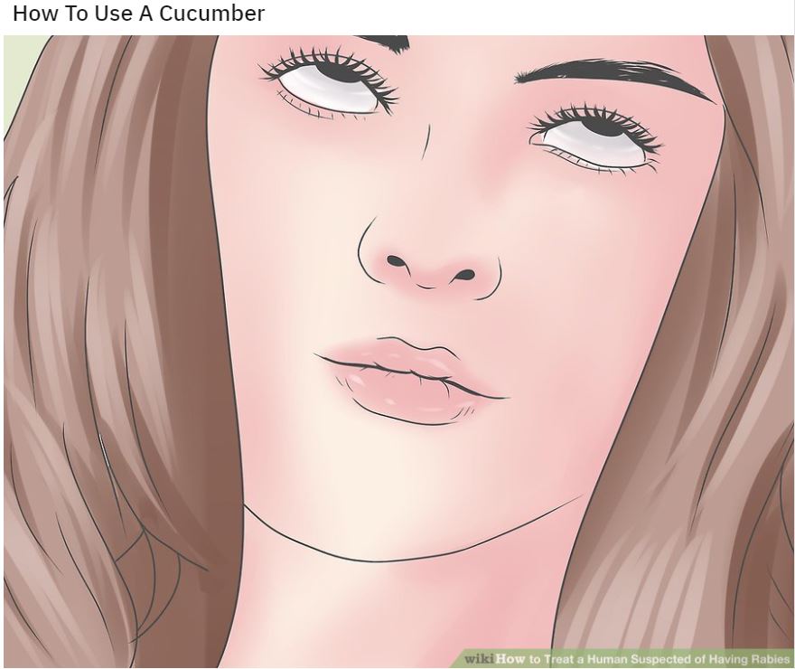 Wiki How Memes: 45 Times the Internet Turned Instructions into Comedy Gold 26 How to use cucumber - wiki how memes