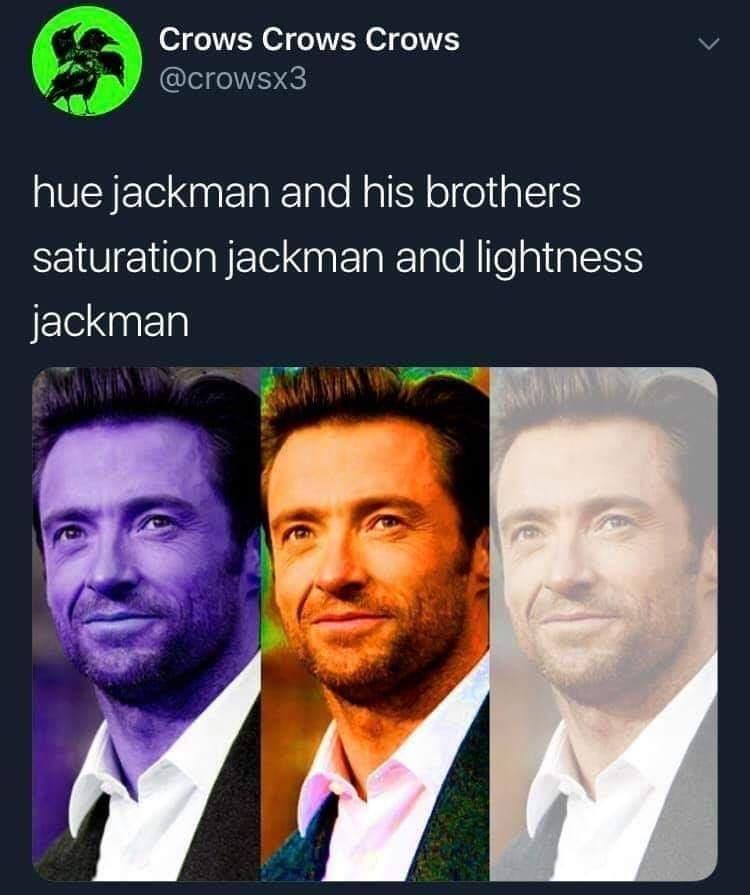 25 Crazy Memes That Will Have You Giggling When Everyone Else Is Asleep 8 Hue jackman and his brothers
