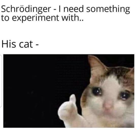 15 Schrödinger's Cat Memes That Will Keep You Guessing If They're ...