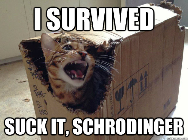 20 Schrödinger's Cat Memes That Will Keep You Guessing If They're Hilarious or Not 4 I survived - schrödinger's cat memes