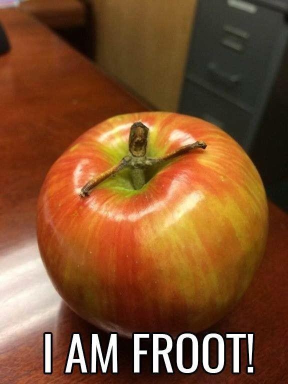 Memetastic Explosion: 25 Memes That Have Been Declared Weapons of Mass Hilarity! 7 Iam froot - Memetastic Explosion