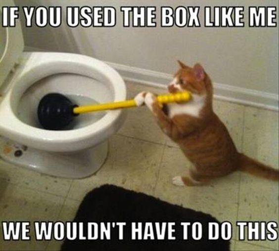 25 Plumbing Memes That Will Flush Away Your Worries 8 If you used the box like me - Plumbing Memes
