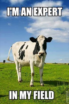 20 Funny Cow Memes That Will Moooove You to Laughter 8 Im an expert