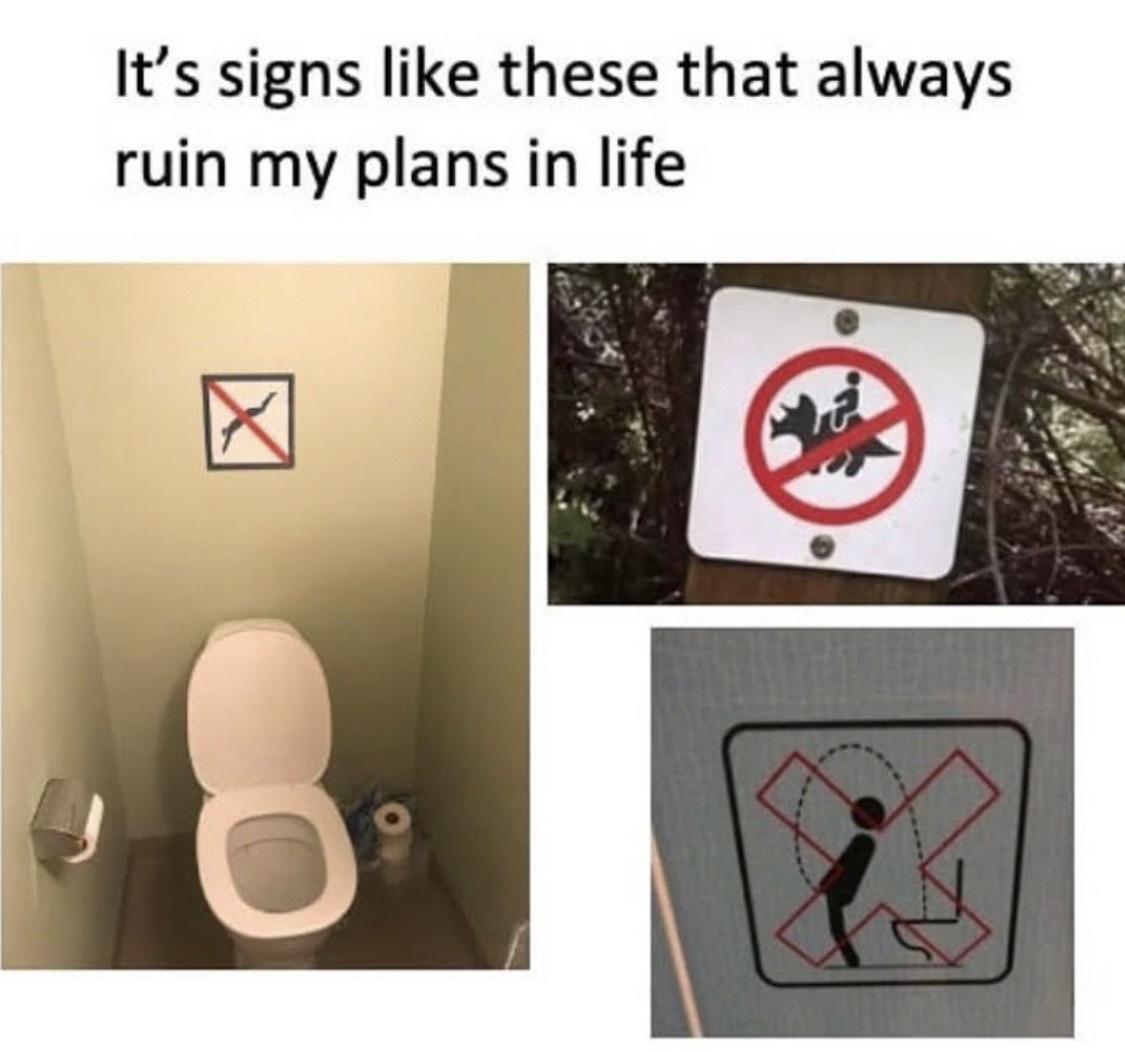 25 Crazy Memes That Will Have You Giggling When Everyone Else Is Asleep 10 Its signs like these