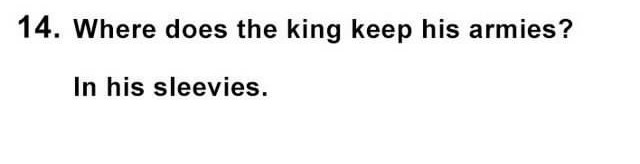 Oh Lord, Here They Come: 25 Dumb Jokes That Will Have You Shaking Your Head 14 King keeps his armies