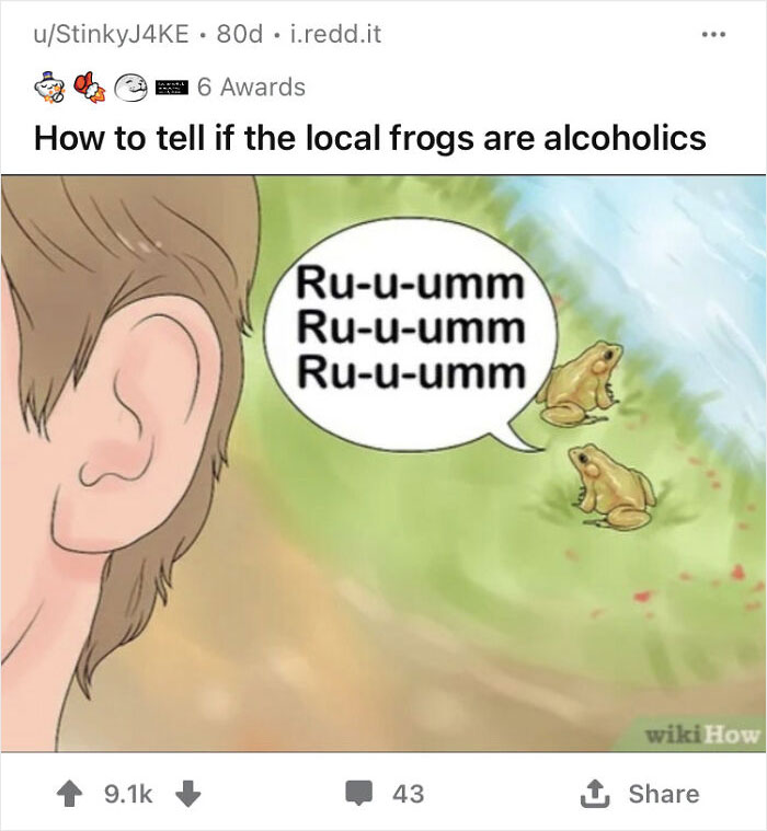 Wiki How Memes: 45 Times the Internet Turned Instructions into Comedy Gold 28 Local frogs are alcoholic - wiki how memes