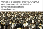 Men at weddings meme