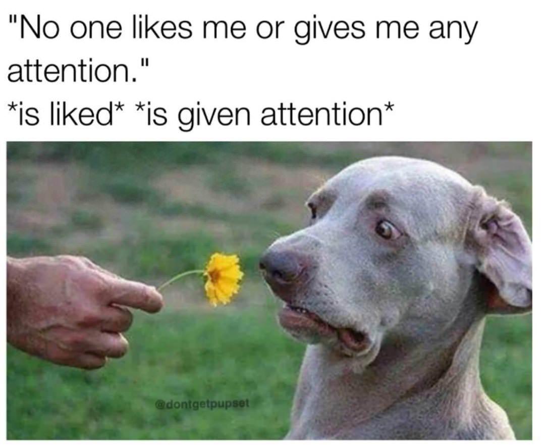 Being Alive is So Tiring: 28 Funny Memes to Make You Laugh and Relate 16 No one likes me - Funny Memes