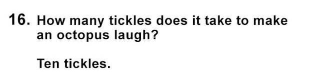 Oh Lord, Here They Come: 25 Dumb Jokes That Will Have You Shaking Your Head 16 Octopus laugh