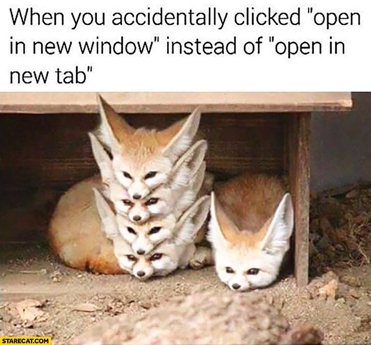 Zoological Zingers: 30 Animal Memes that are a Laughing Matter 17 Open in new window - Animal Memes