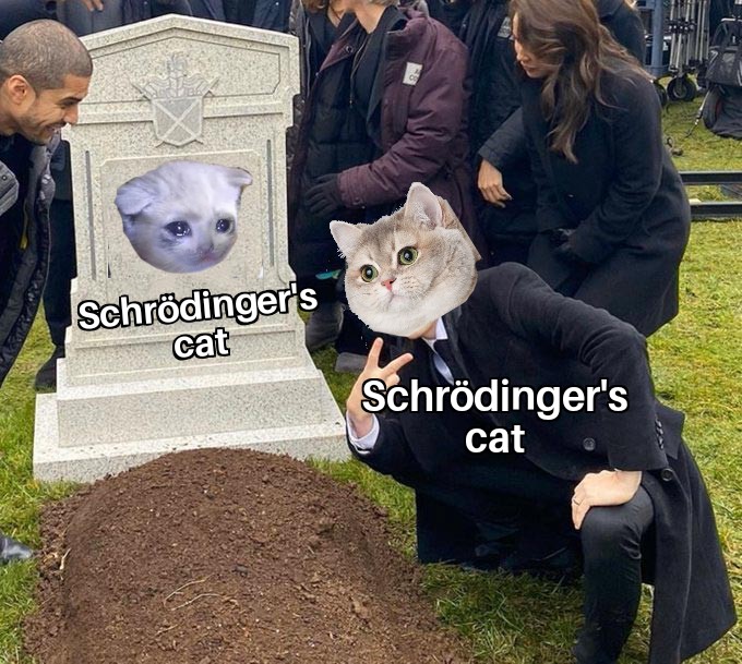 20 Schrödinger's Cat Memes That Will Keep You Guessing If They're Hilarious or Not 12 Schrödinger's cat vs Schrödinger's cat - schrödinger's cat memes