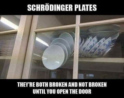 20 Schrödinger's Cat Memes That Will Keep You Guessing If They're Hilarious or Not 14 Schrodingers plates - schrödinger's cat memes