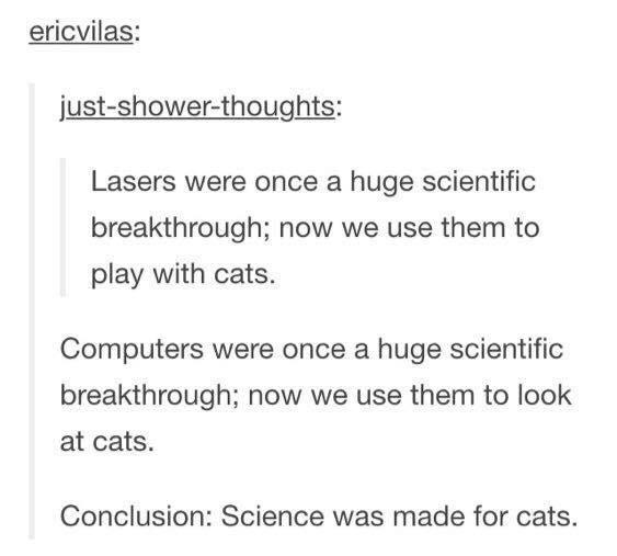 Zoological Zingers: 30 Animal Memes that are a Laughing Matter 18 Science was made for cats - Animal Memes