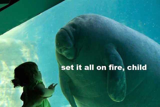 Being Alive is So Tiring: 28 Funny Memes to Make You Laugh and Relate 19 Seit it all on fire - Funny Memes