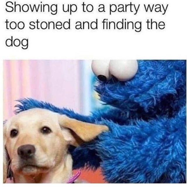 Fur-iously Funny: 25 Best Dog Memes to Cure Your Ruff Day 13 Showed up to a party - Best Dog Memes