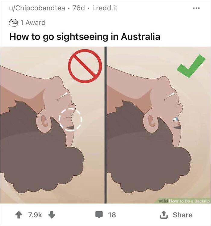 Wiki How Memes: 45 Times the Internet Turned Instructions into Comedy Gold 32 Sightseeing in autralia - wiki how memes