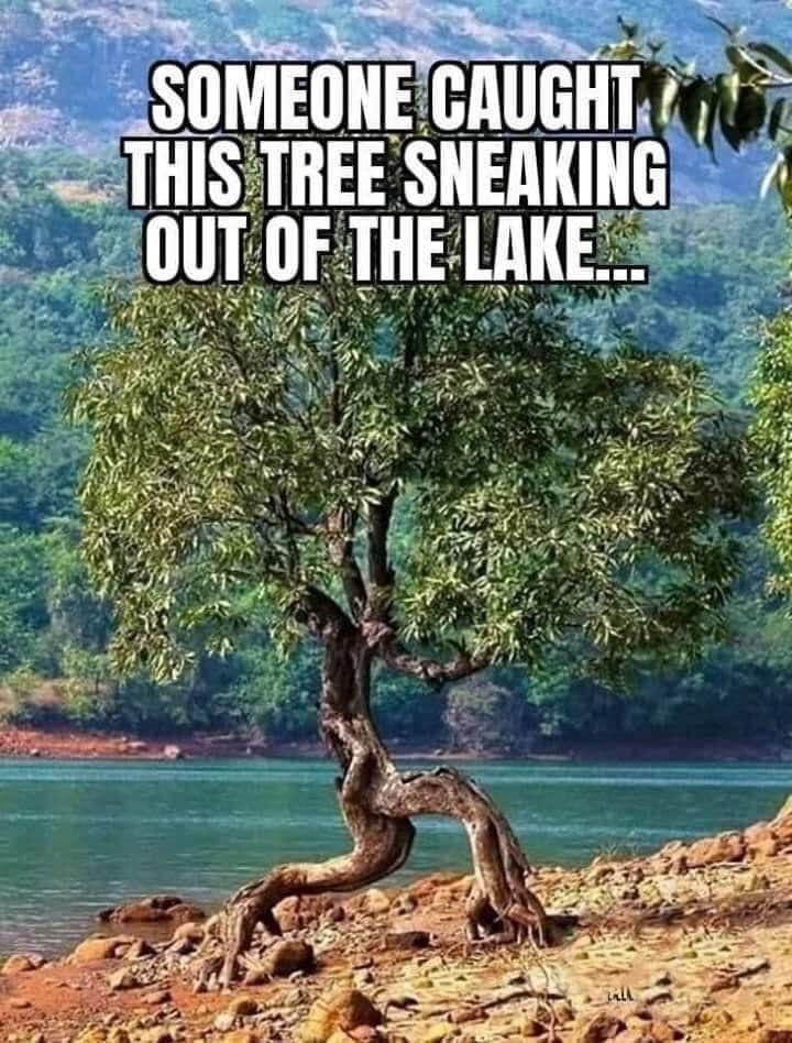 Memetastic Explosion: 25 Memes That Have Been Declared Weapons of Mass Hilarity! 11 Sneaking out of lake - Memetastic Explosion
