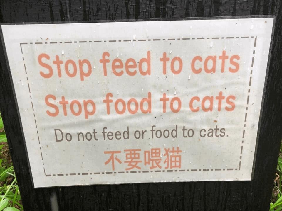 When English Goes Wrong: 25 Hilarious Examples of Bad English Memes 20 Stop feed to cats - Bad English