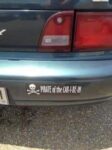 Car bumper memes