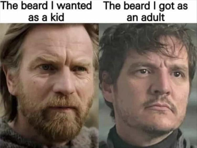 25 Memes That Deserve Your Attention 13 The beird I wanted as a kid