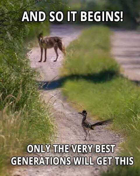 Zoological Zingers: 30 Animal Memes that are a Laughing Matter 19 The very best generation will get this - Animal Memes