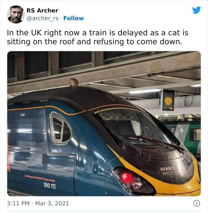 24 Random Laughs for the Good, the Bad, and the Quirky 15 Train is delayed
