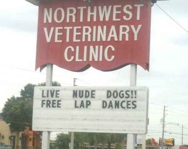 Bark-tastic Humor: 25 Funny Dog Memes to Brighten Your Timeline 16 Veteranary clinic - Funny Dog Memes