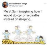 CPR on a giraffe meme