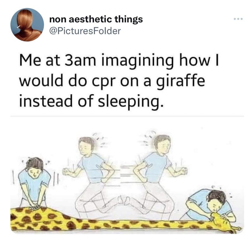 What Keeps Me Awake At Night 1 CPR on a giraffe meme