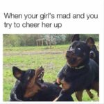 When Your Girl's Mad Meme