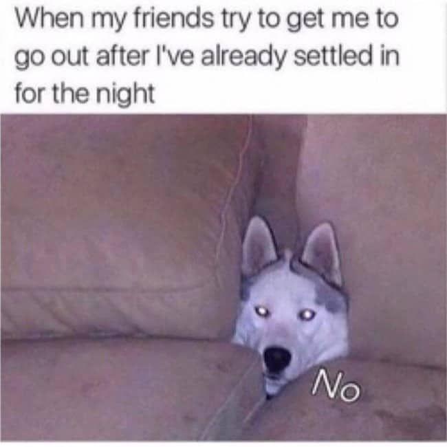 Memetastic Explosion: 25 Memes That Have Been Declared Weapons of Mass Hilarity! 15 When my friend try to get me out - Memetastic Explosion