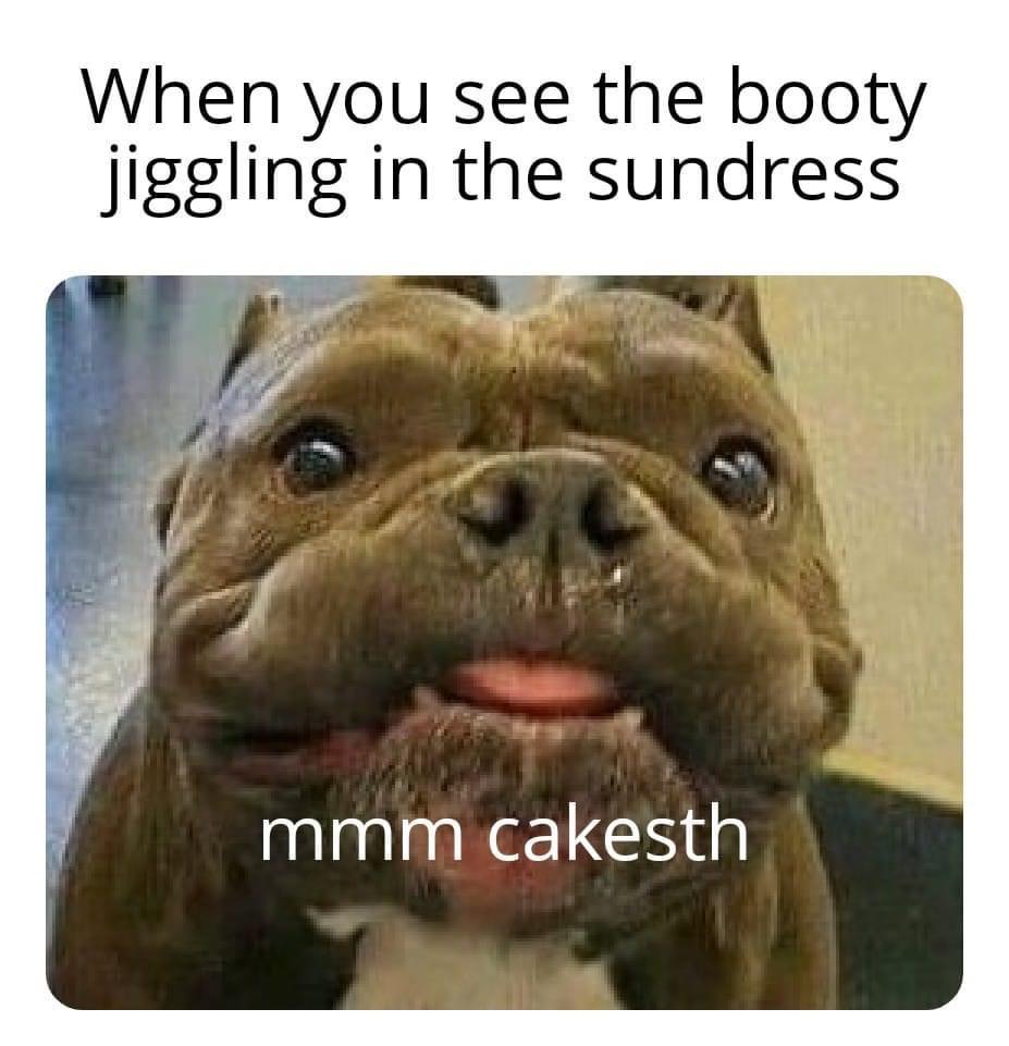 Bark-tastic Humor: 25 Funny Dog Memes to Brighten Your Timeline 18 When you see the jiggling - Funny Dog Memes