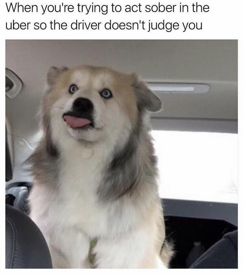 25 Crazy Memes That Will Have You Giggling When Everyone Else Is Asleep 18 When youre trying to act sober
