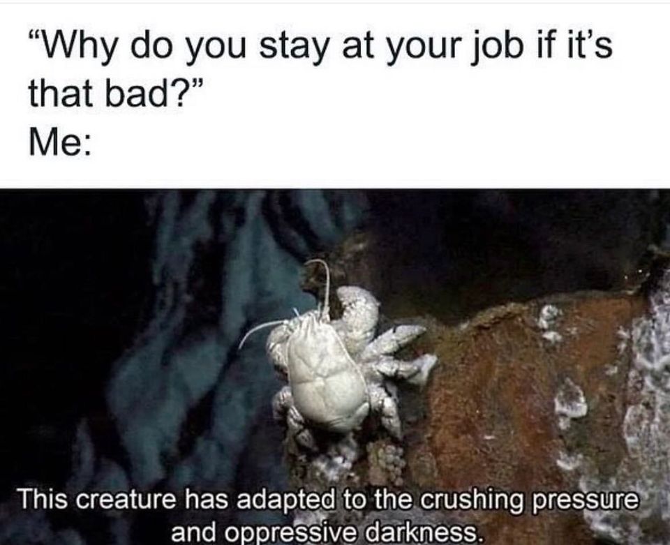 Why Do You Stay at Your Job if its that Bad 1 Job memes
