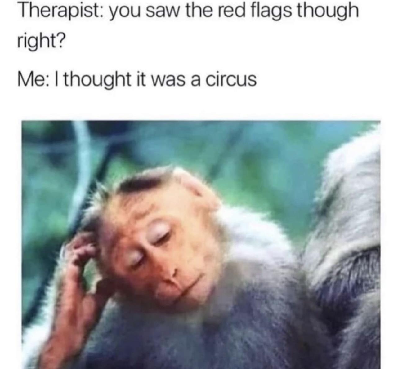 Funny Bone Ticklers: 25 Memes for Endless Laughter 20 You saw the red flags