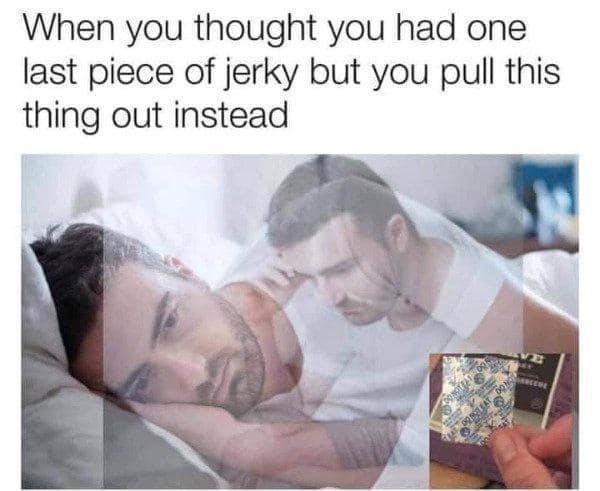 Funny Bone Ticklers: 25 Memes for Endless Laughter 8 last piece of jerky