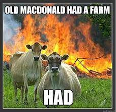20 Funny Cow Memes That Will Moooove You to Laughter 11 Old mcdonald had a farm